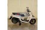 Honda Scoopy Prestige Tahun 2026